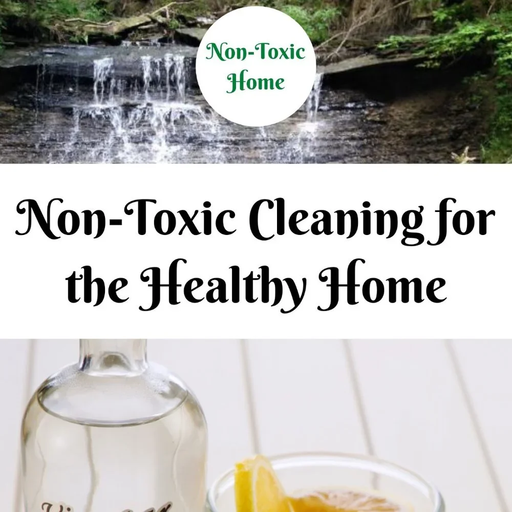 Non-Toxic Cleaning for the Healthy Home: Save Money, Simplify Your Life Book
